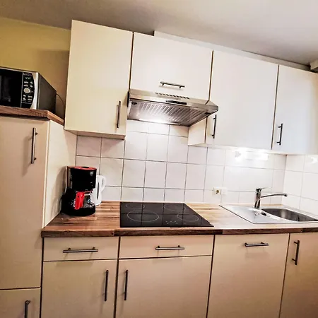 Appartamento Rosa-3 By Interhome Mayrhofen